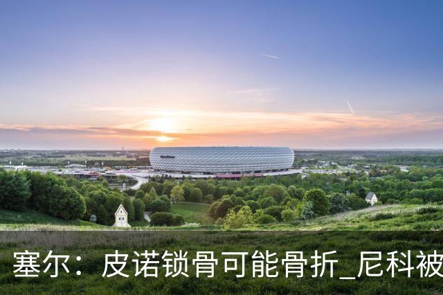 塞尔：皮诺锁骨可能骨折 尼科被铲伤可能提前结束世界杯之旅