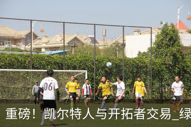 重磅！凯尔特人与开拓者交易 绿军得到霍勒迪