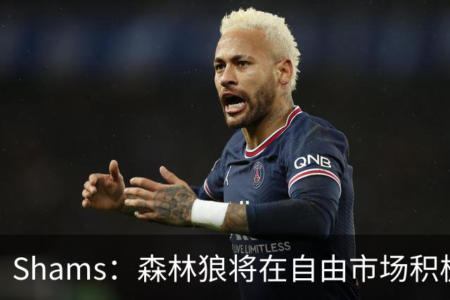 Shams：森林狼将在自由市场积极补强4号位 但他们只能提供底薪